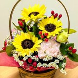 1000002383 (1).jpg