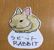 うさぎ.png