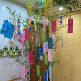 PXL_20260704_070056949~2.jpg