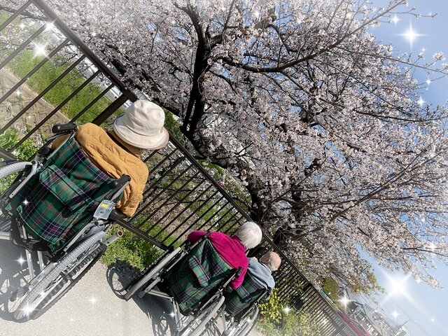 26-04-11-10-59-10-933_deco.jpg
