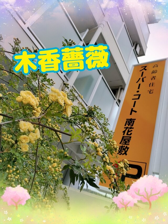 26-04-14-06-46-54-162_deco.jpg