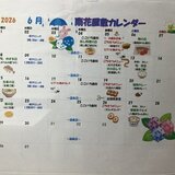 11CD4D69-B9CD-4D5C-9D44-C65592E82053.jpeg