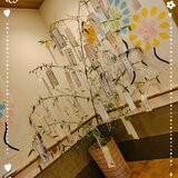 26-07-07-21-49-07-508_deco.jpg
