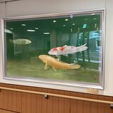 IMG_0994.JPG