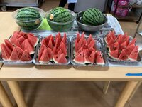 IMG_2395.JPG
