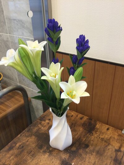 IMG_2623.JPG
