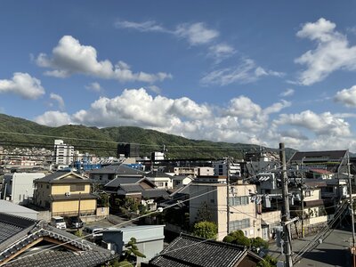 IMG_0306.JPG