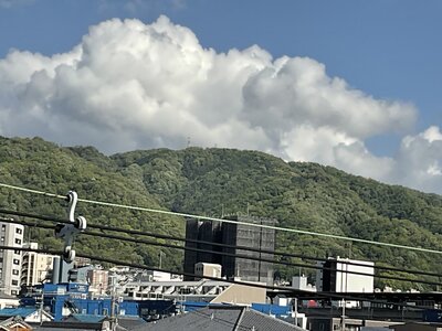 IMG_0314.JPG