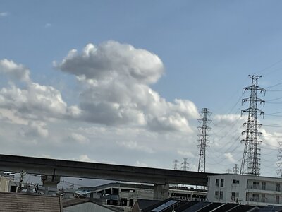 IMG_0315.JPG