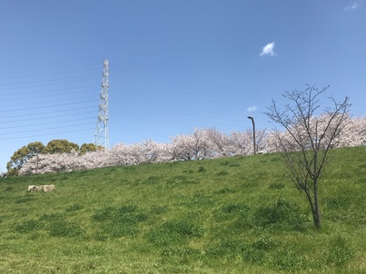 IMG_0317.JPGのサムネイル画像