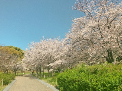 IMG_0365.JPGのサムネイル画像