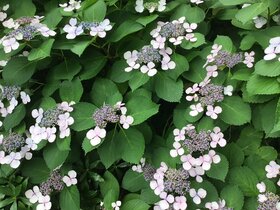 IMG_6710.JPG
