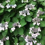 IMG_6710.JPG