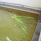 しょうぶ1 (1).JPG