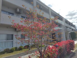 260418084519395.JPGのサムネイル画像