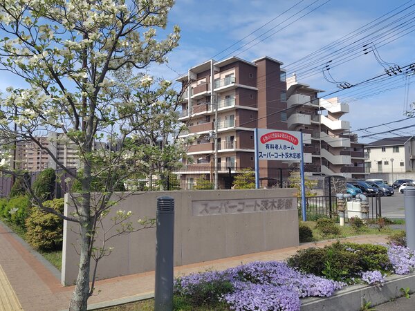 260418084615455.JPGのサムネイル画像