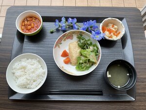 IMG_1040.JPG