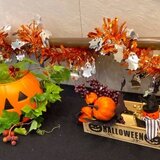 IMG_9427h.jpg