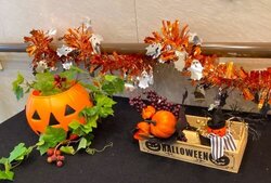IMG_9427h.jpg