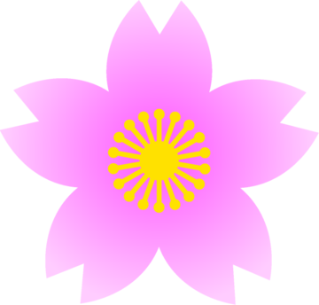 flower_sakura01_b_13.png