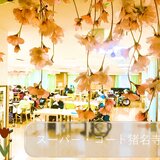 IMG_E3620.jpg