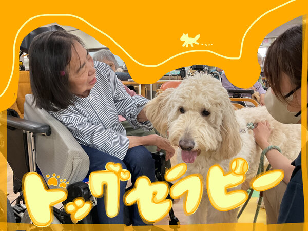 FC5469DB-45AA-4E37-851C-42AED6C960BA.jpeg