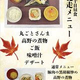 IMG_0129.jpeg