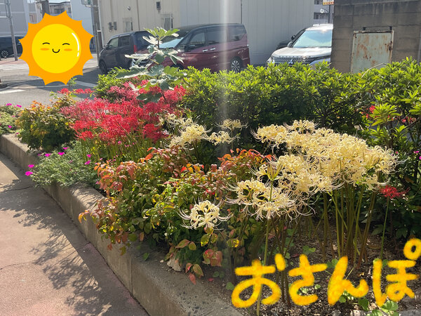 929FB243-B15A-4415-B07C-D253B10BD6A5.jpeg