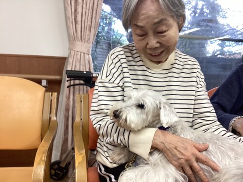 IMG_3568 - コピー.JPG