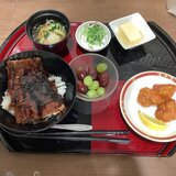 IMG_7133[1].JPG