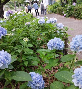 20260615_152459.jpg