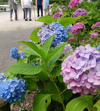20260615_152544.jpg