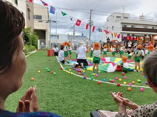 20260622_113523.jpg