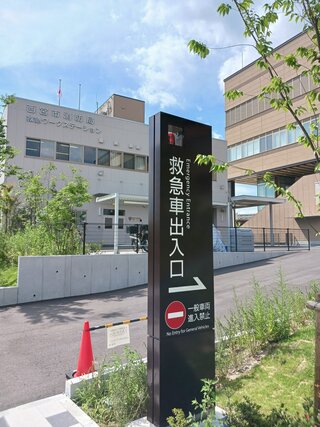 20260703_143921.jpg