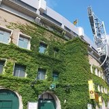 20260615_151505.jpg