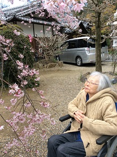 桜幸子.JPG