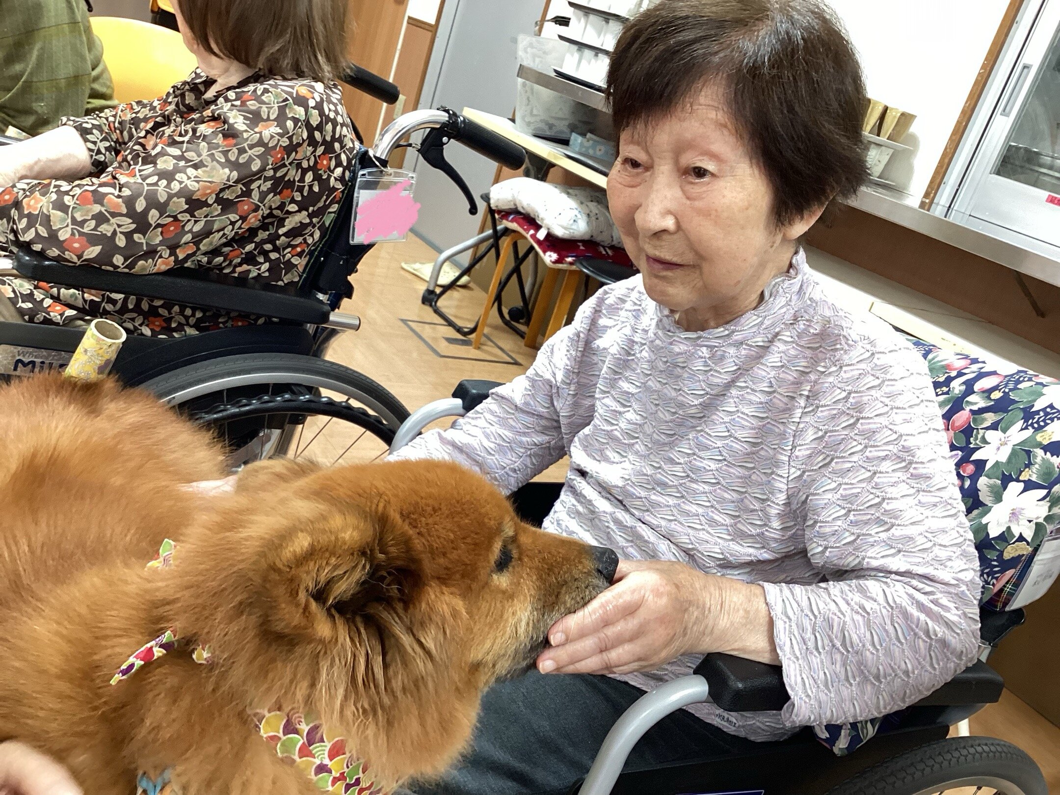 https://www.supercourt.jp/blog/kamo/IMG_8205.jpeg
