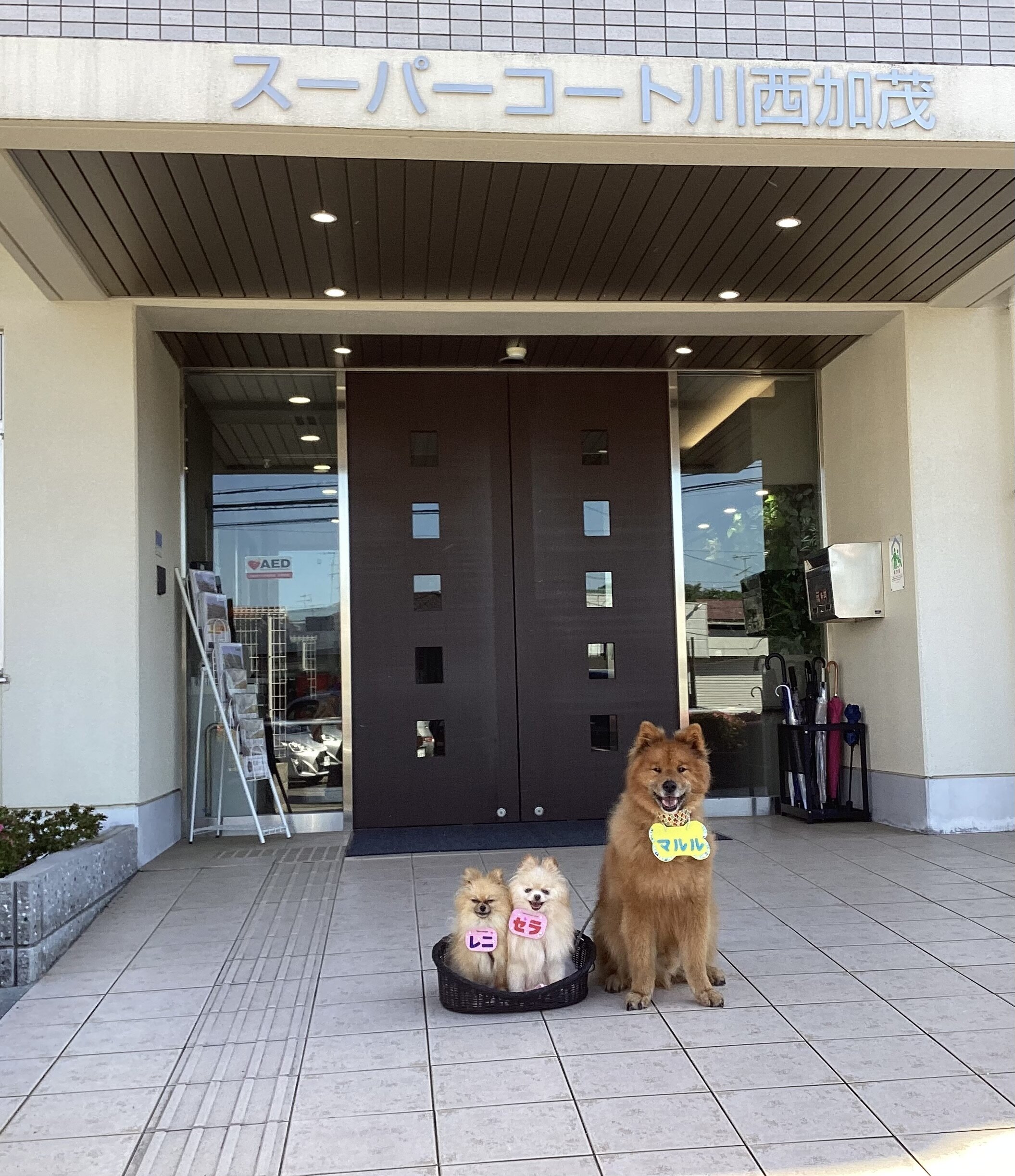https://www.supercourt.jp/blog/kamo/IMG_8395.jpeg