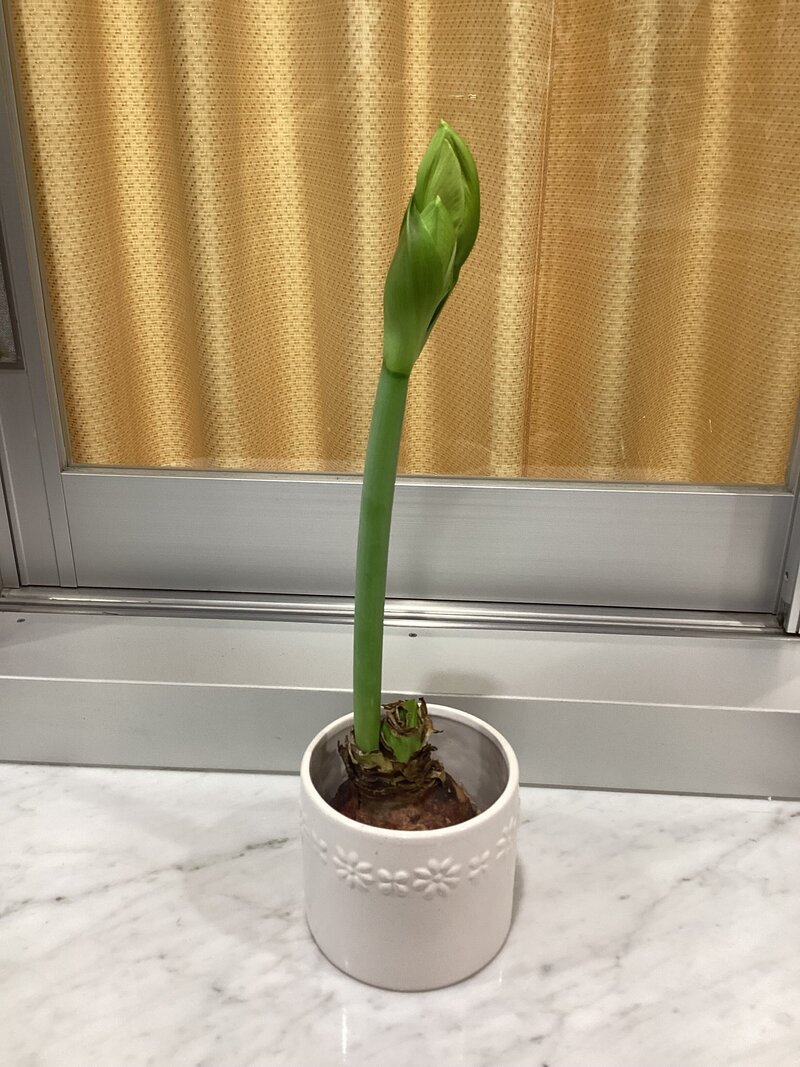 IMG_9449.jpegのサムネイル画像のサムネイル画像