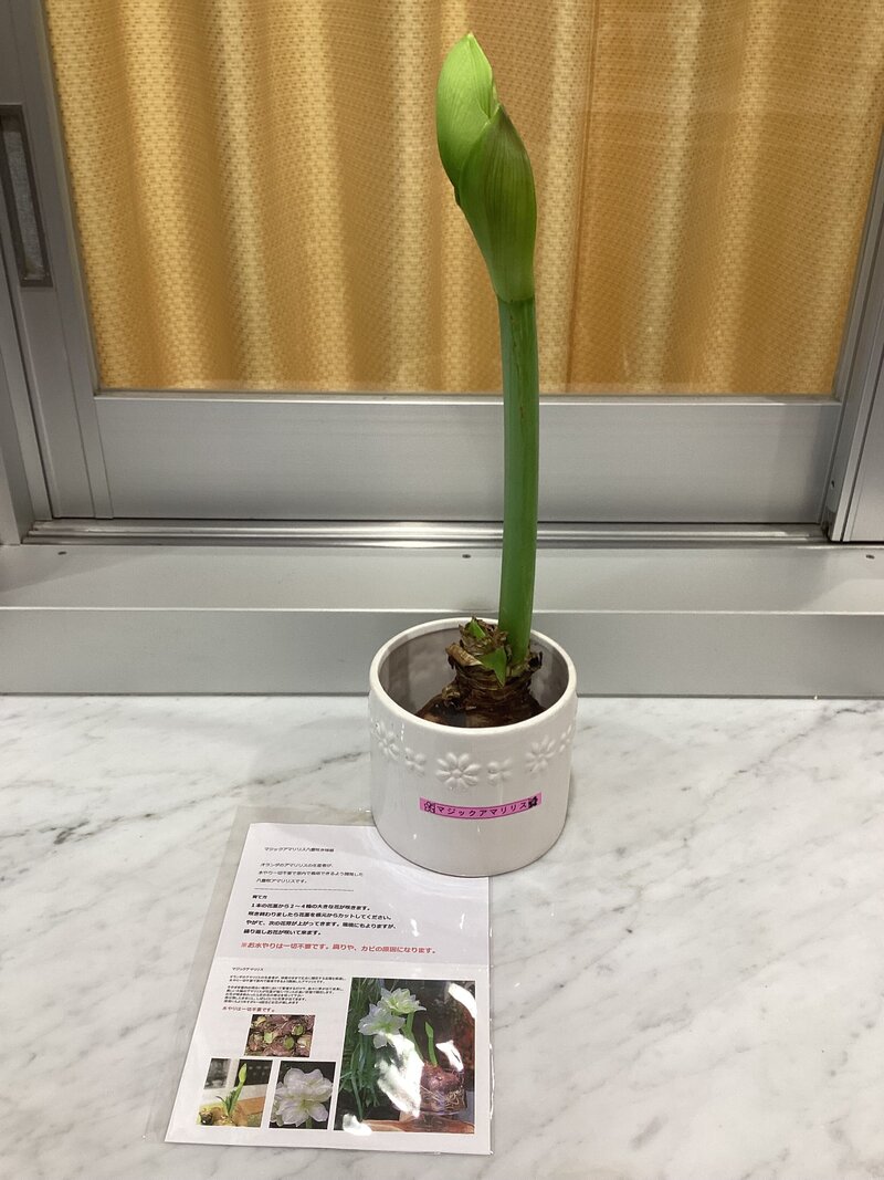 IMG_9450.jpegのサムネイル画像のサムネイル画像