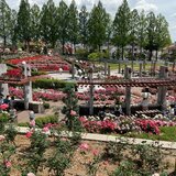 IMG_8557.jpeg