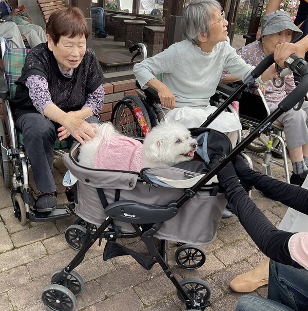 IMG_8659.jpeg
