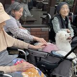 IMG_8661.jpeg