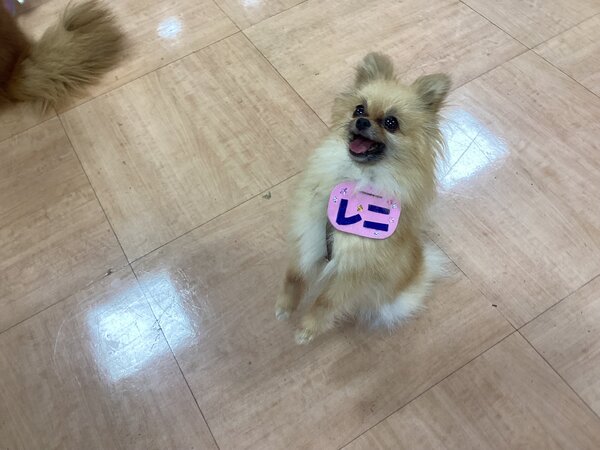IMG_8380.jpeg