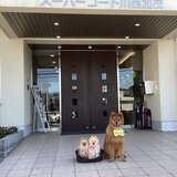 IMG_8395.jpeg