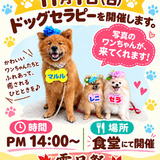 CBEE9555-9C8F-417F-8F85-B98DD085CF13 (1).PNG