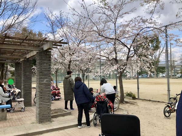 桜①.JPG