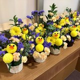 ポンポン菊 ⑤.JPG