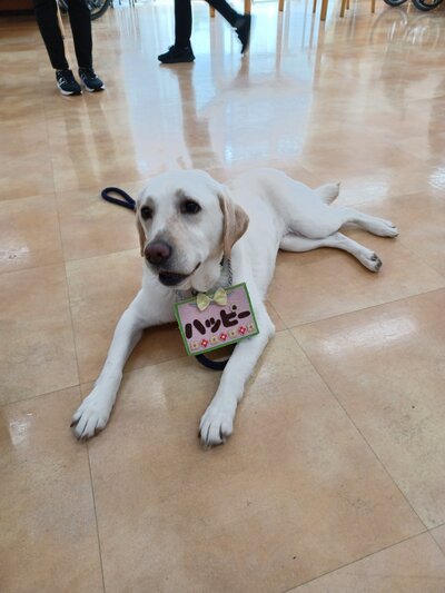 ハッピー (5).jpg