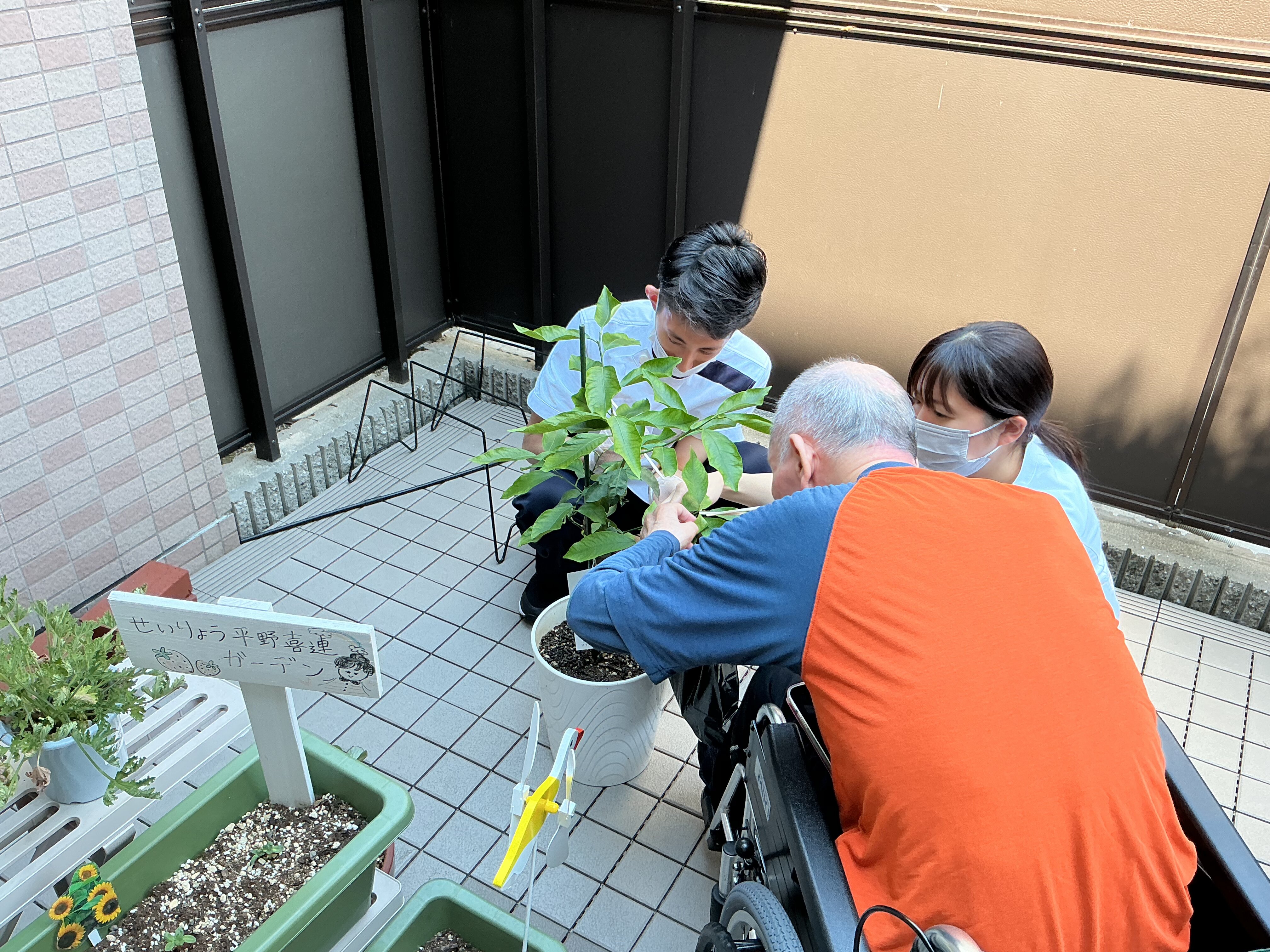 Image_20260613_180341_987.jpeg